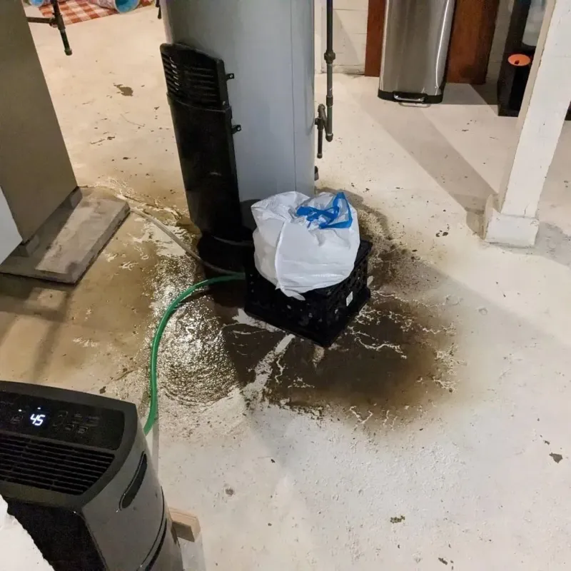 Sewage Backup Cleanup Service in Woodbine, IA